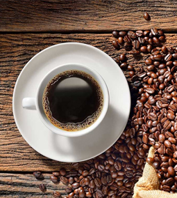 What is the difference between arabica and robusta coffee?