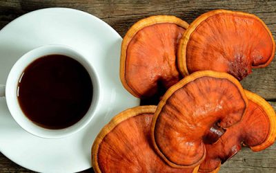 Why is ganoderma tea worth drinking?
